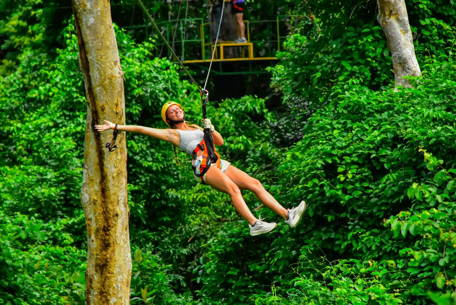 Zipline Family Tour